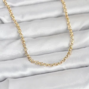 Utterly Good Halka Zincir Kolye 14K Gold Kaplama 60 cm Kadın