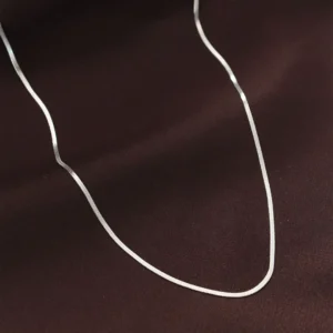Utterly Good Çelik Gümüş Renk İnce İtalyan Zincir Kolye 60 cm