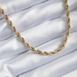 Utterly Good 316L Çelik Gold Kaplama 60 cm Burgu Model Kadın Kolye