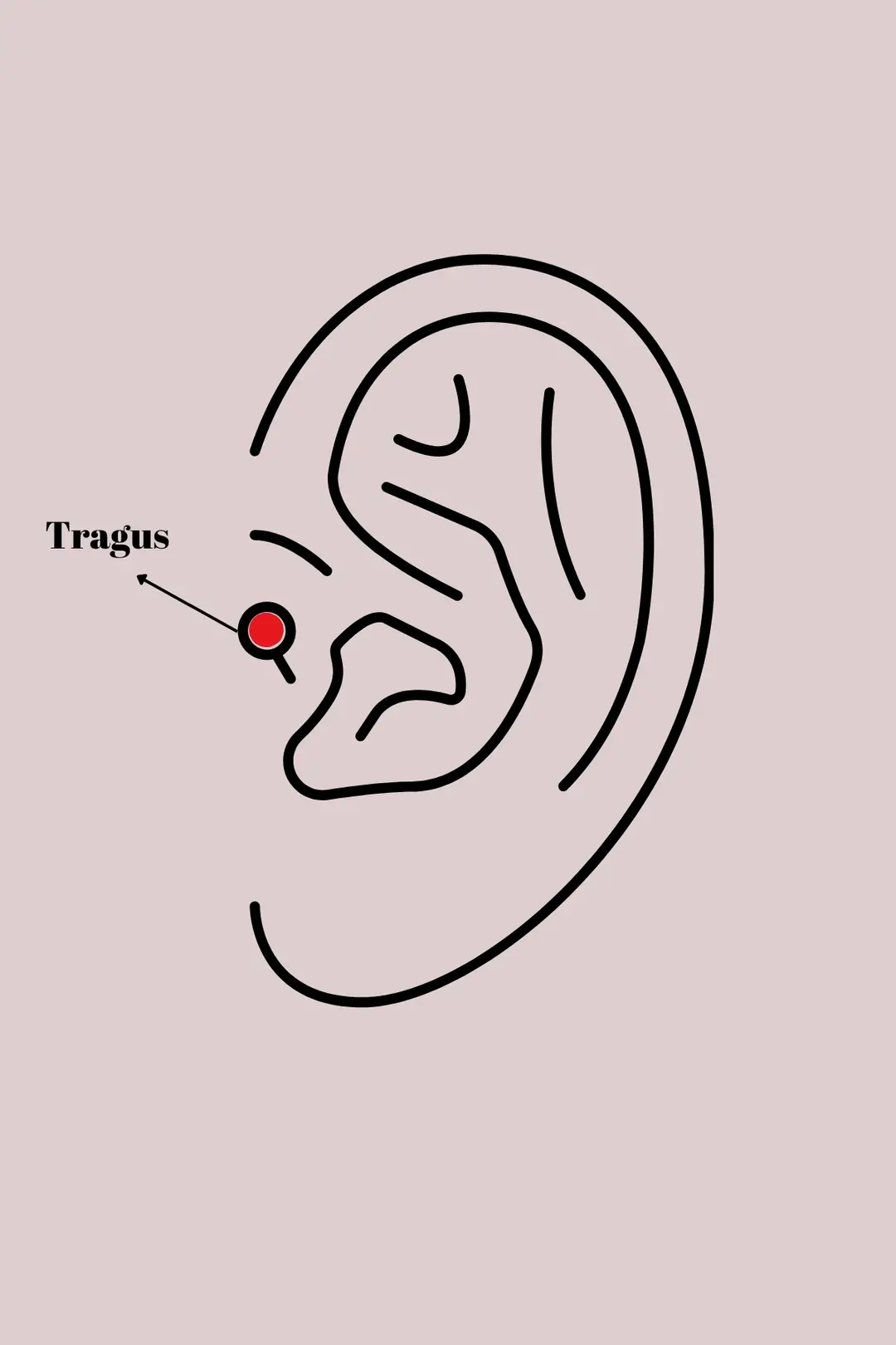Utterly Good 316L Çelik Tragus Piercing Mor Mineli Kalp Zirkon Taş Detay